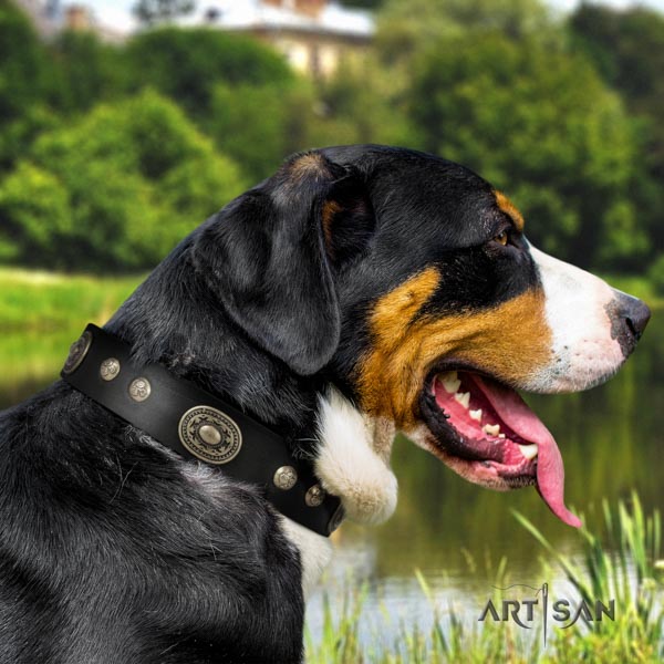 Swiss Mountain daily use natural leather collar with decorations for your pet