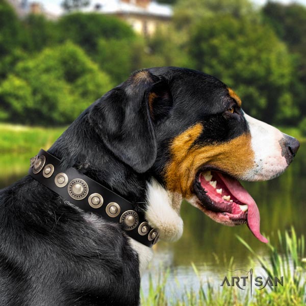 Swiss Mountain walking full grain leather collar with studs for your dog