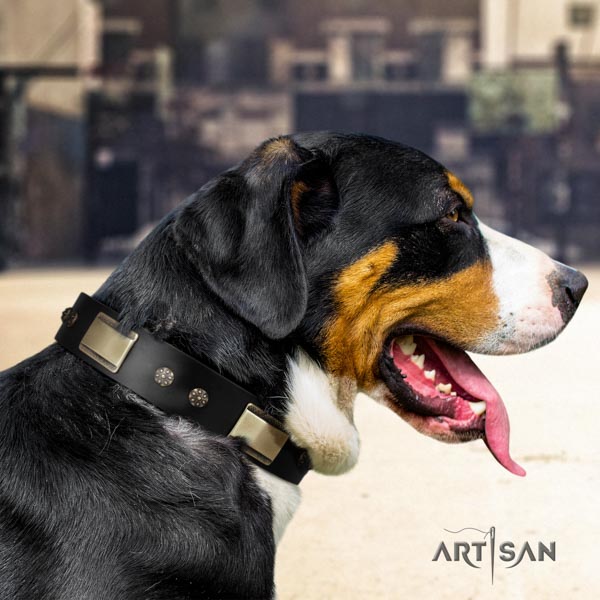 Swiss Mountain everyday use full grain genuine leather collar with decorations for your canine