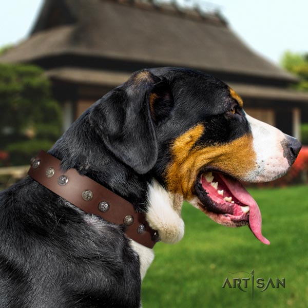 Swiss Mountain fancy walking genuine leather collar with adornments for your four-legged friend