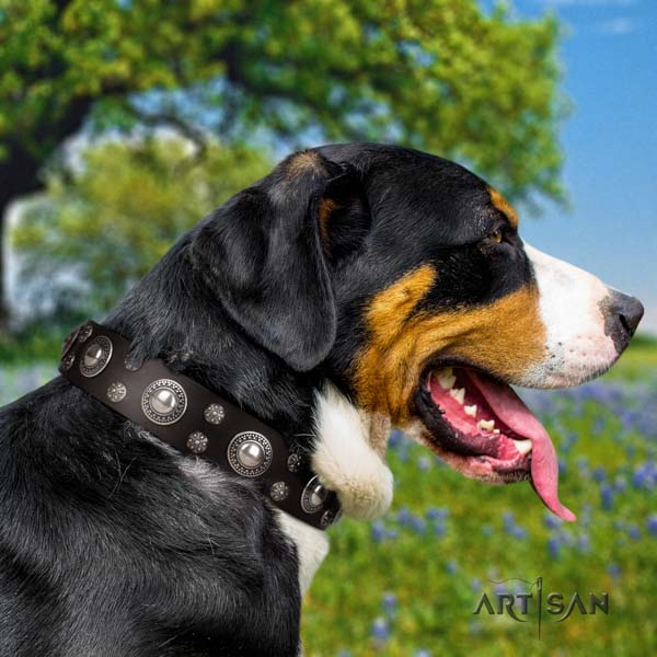 Swiss Mountain fancy walking leather collar with studs for your doggie