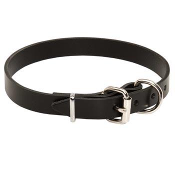 Swiss Mountain Dog Leather Dog Collar For Everyday Training
