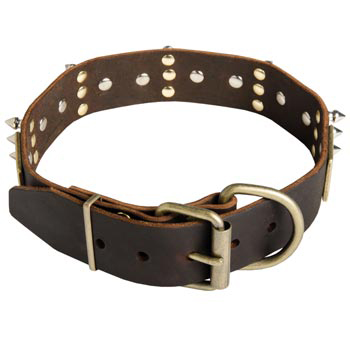 Spiked Leather Swiss Mountain Dog Collar