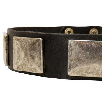 Wide Leather Swiss Mountain Dog Collar for Walking