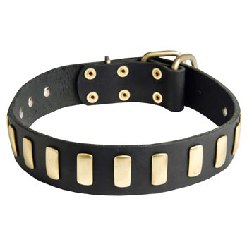 Swiss Mountain Dog Collar Leather with Brass Hardware