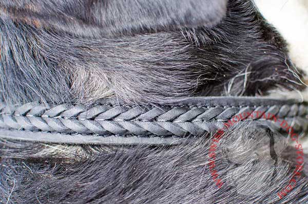 Unique Decoration of Leather Dog Collar - Fascinating Braid 
