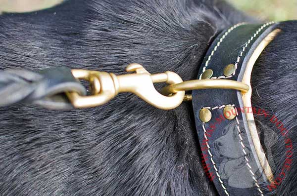 Specially Chosen Brass-Made Hardware on Dog Collar