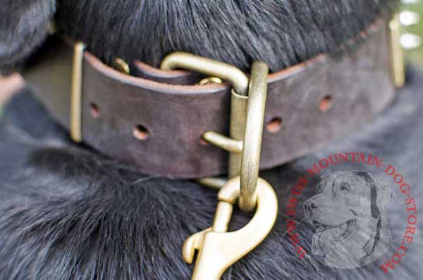 Extremely Strong Brass D-Ring Built in Dog Collar 