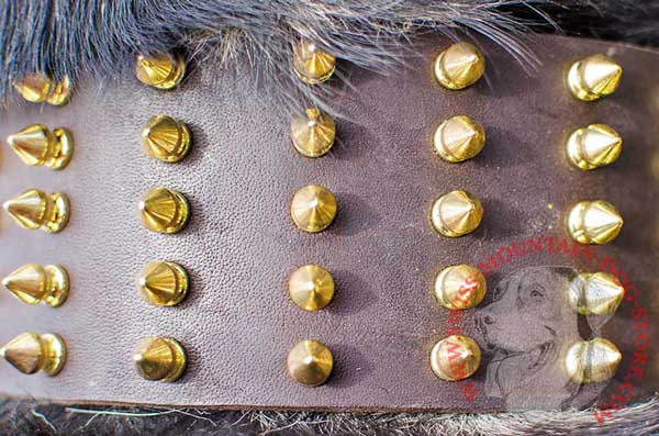 Proportional Brass Spikes - 5 Rows of Unique Adornment 