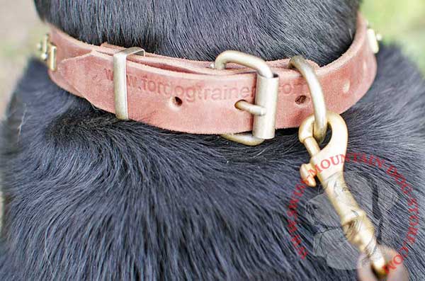 Durable Brass Ring Grants Secure Leash Fastening
