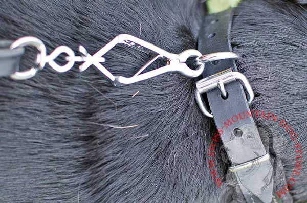 Excellent Non-Corrodible Hardware for Dog Buckle Collar