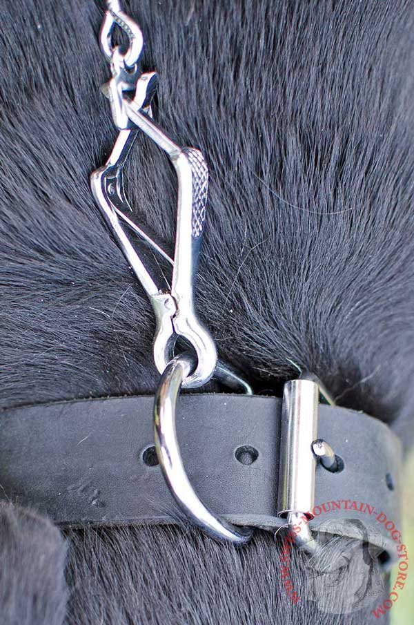 Steel Nickel Plated Hardware - Strong D-Ring for Leash