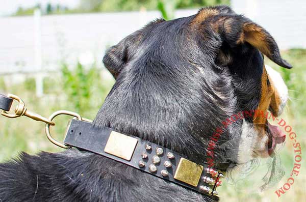 Leather Swiss Mountain Dog Collar with Mixed Decoration for Walking