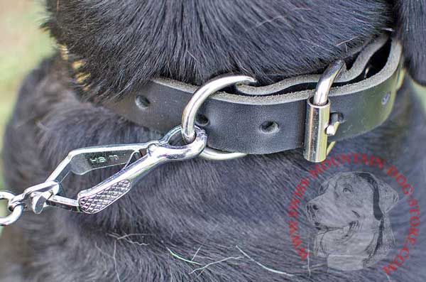 Leather Dog Buckle Collar with Metal Detail - Strong Ring for Leash