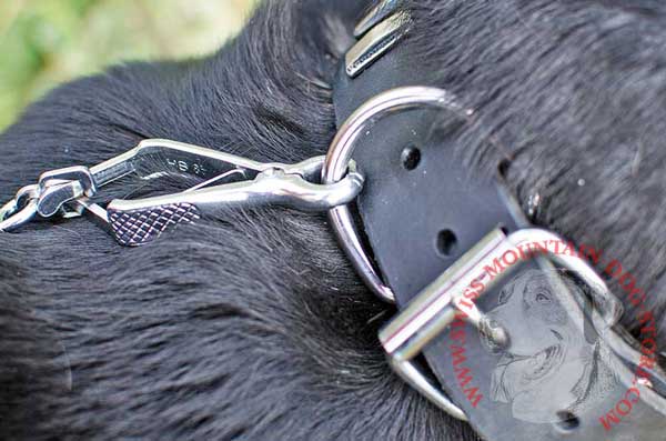 Welded Steel Nickel-Plated D-Ring Securely Built in Dog Collar