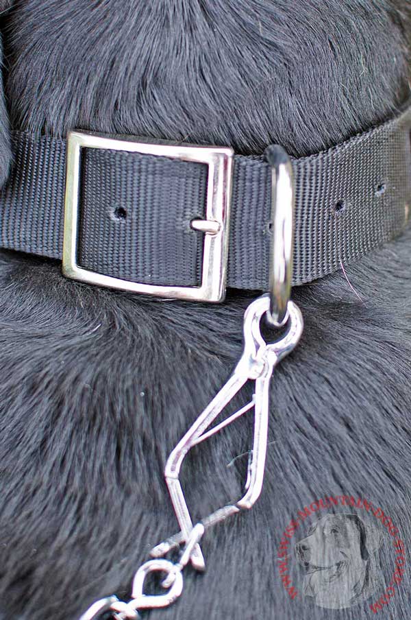 Strong Ring - Indispensable Element of This Collar's Hardware