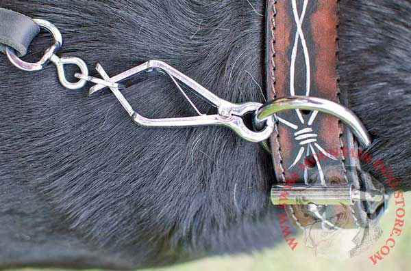Strong and Durable Metal D-Ring and Dog Leash Snap Hook Connected To It 