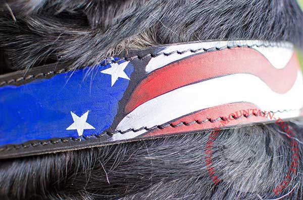 USA Flag Painted on Leather by Hands of Skillful Specialists 