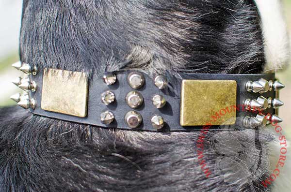 Decoration of Leather Dog Collar - Cones, Spikes and Plates
