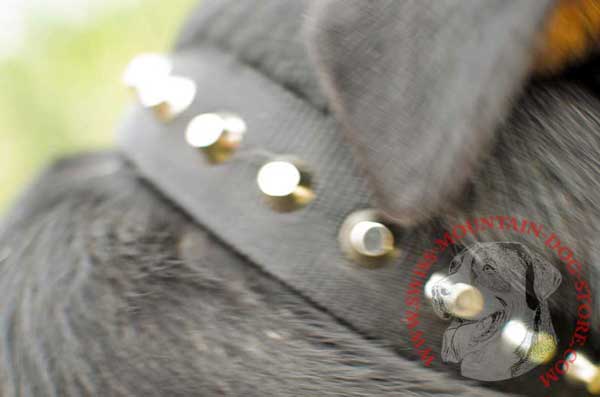 Steel Nickel Plated Cones Make Nylon Dog Collar Look Fantastically