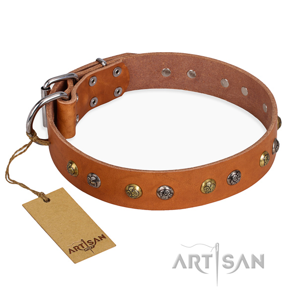 Stylish walking remarkable dog collar with corrosion resistant fittings