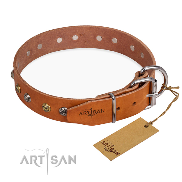 Reliable full grain leather dog collar made for everyday walking