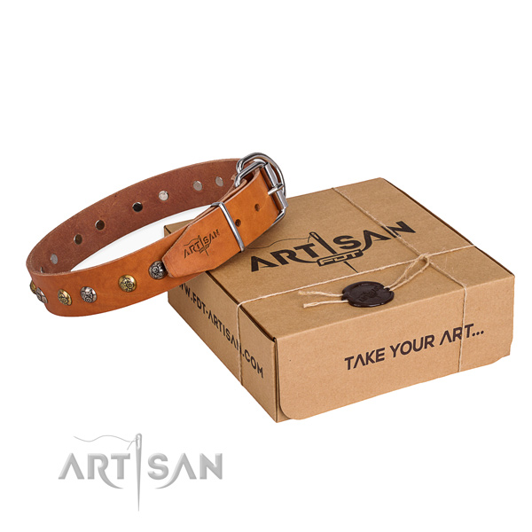 Full grain leather dog collar with exceptional rust resistant decorations