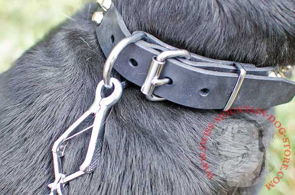 Easy Release Standard Buckle Meant for Snug Collar FIt