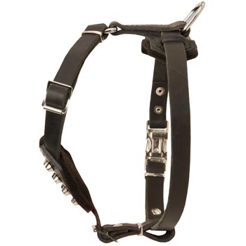 Leather Swiss Mountain Dog Puppy Harness for Comfy Walking