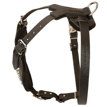 Custom Made Leather Swiss Mountain Dog Harness