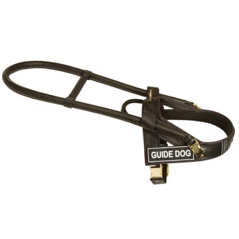 Swiss Mountain Dog Guide Harness Leather for Dog Assistance