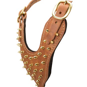 Brass Spiked Leather Swiss Mountain Dog Harness