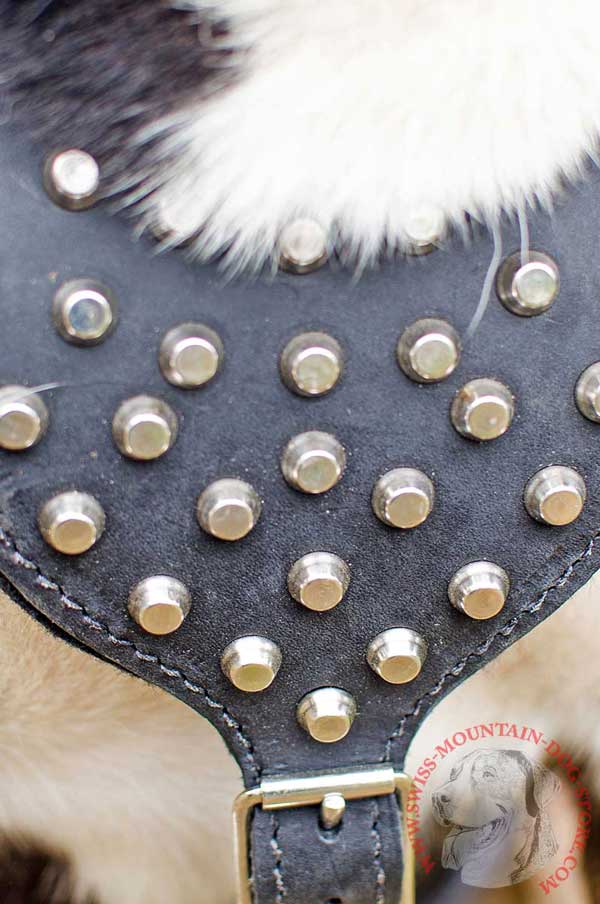 Chest Plate with Hand Set Nickel Cones