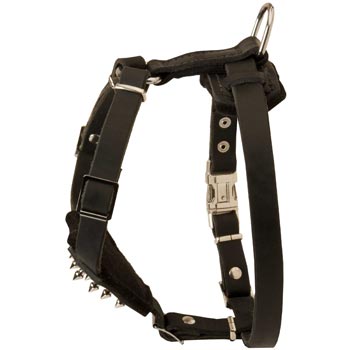 Swiss Mountain Dog Leather Harness for Puppy Walking and Training