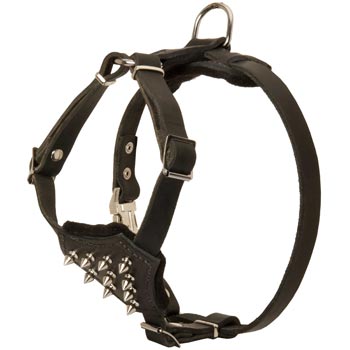 Swiss Mountain Dog Leather Puppy Harness with Attractive Nickel Decoration
