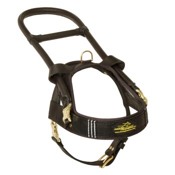Swiss Mountain Dog Leather Guide Harness with ID Patches