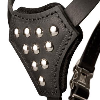 Swiss Mountain Dog Harness Leather with Studded  Breast Plate