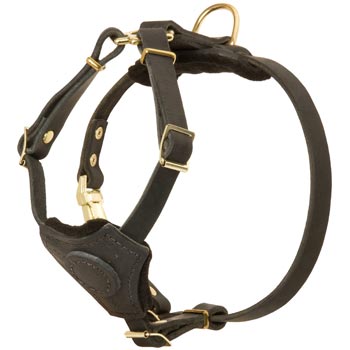 Light Weight Leather Puppy Harness for Swiss Mountain Dog
