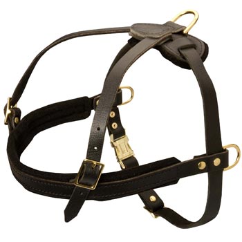 Leather Swiss Mountain Dog Harness for Dog Off Leash Training