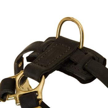 D-ring on Leather Swiss Mountain Dog Harness for Puppy Training
