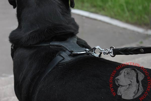 Steel Nickel Plated Hardware on Leather Swiss Mountain Dog Harness