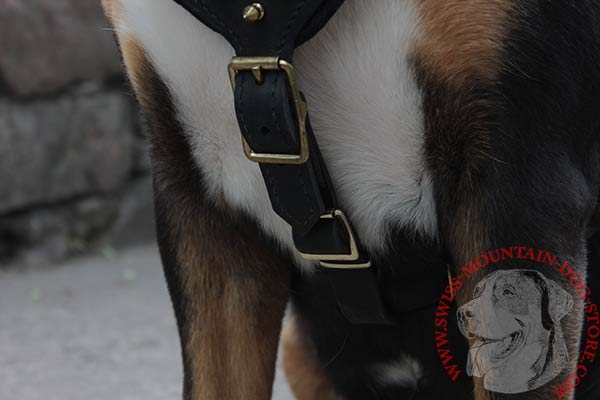 Leather Swiss Mountain Dog Harness with Brass Fittings