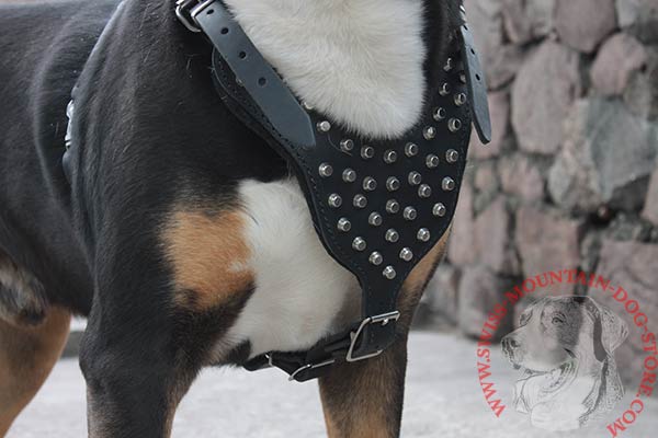 Swiss Mountain Dog Harness Made of High Quality Materials