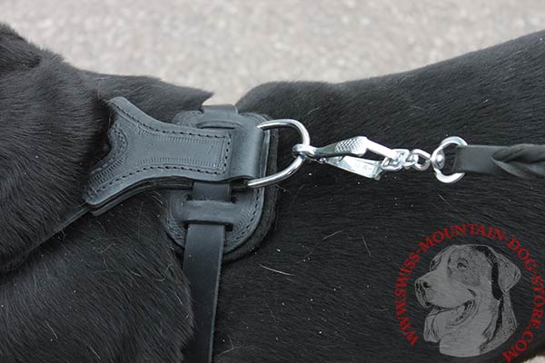 Back Plate with Soft Felt Padding on Leather Swiss Mountain Dog Harness