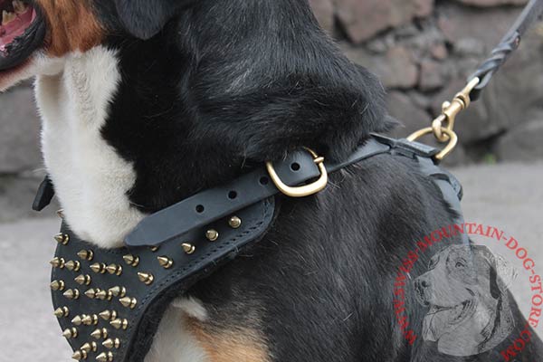 Spiked Leather Swiss Mountain Dog Harness for Walking
