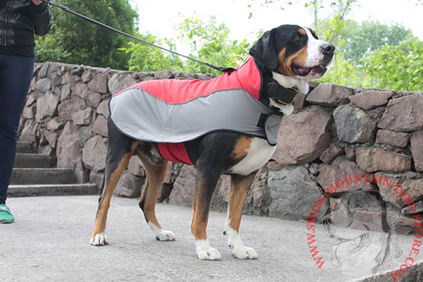 Nylon Swiss Mountain Dog Harness For Cold Weather