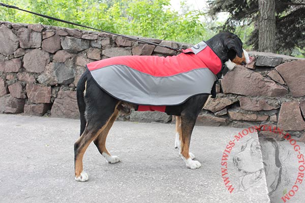 Lightweight Swiss Mountain Dog Coat