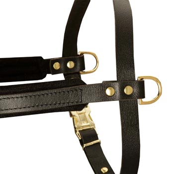 Training Pulling Swiss Mountain Dog Harness with Sewn-In Side D-Rings