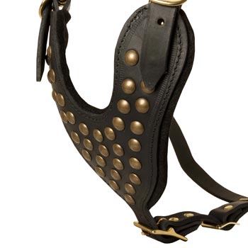 Studded Black Leather CHest Plate for Swiss Mountain Dog Comfort
