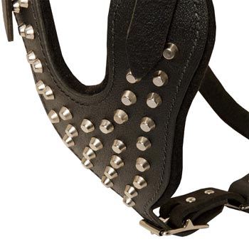 Studded Chest Plate Leather Swiss Mountain Dog Harness